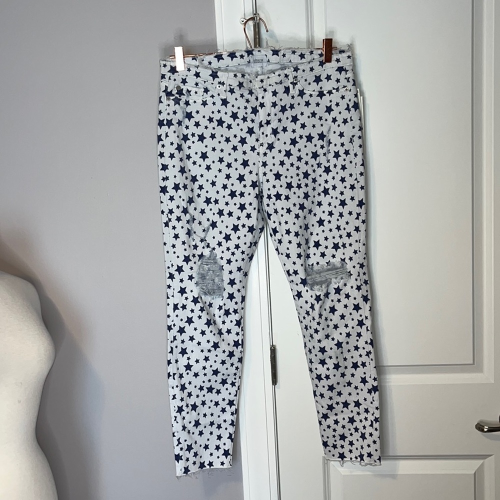 Hudson Crop Krista Star Jean Size 32